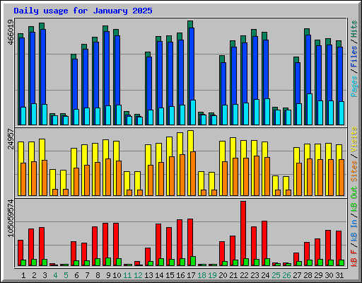 Daily usage for January 2025