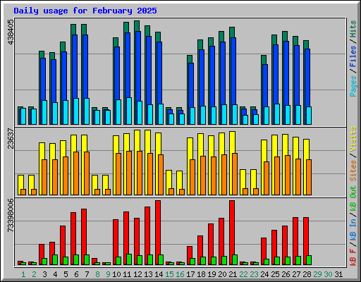 Daily usage for February 2025