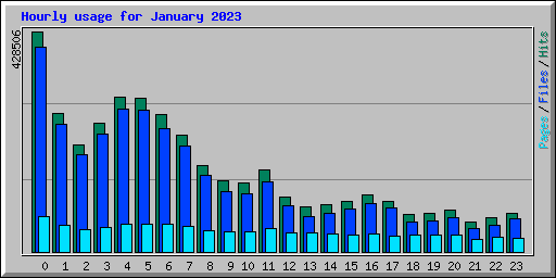 Hourly usage for January 2023