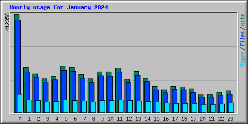 Hourly usage for January 2024