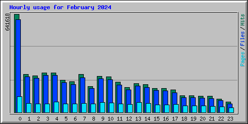 Hourly usage for February 2024