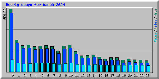 Hourly usage for March 2024