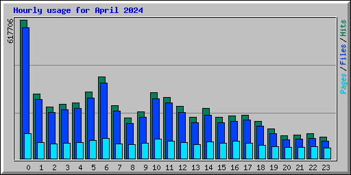Hourly usage for April 2024