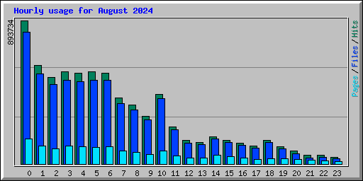 Hourly usage for August 2024