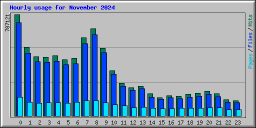 Hourly usage for November 2024