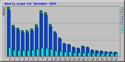 Hourly usage for December 2024