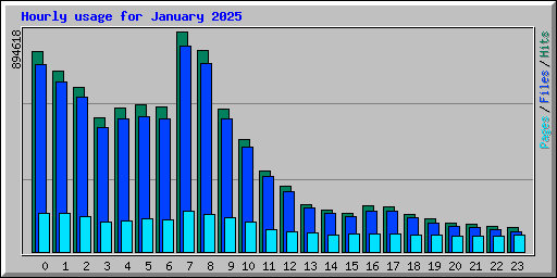 Hourly usage for January 2025