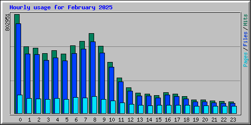 Hourly usage for February 2025