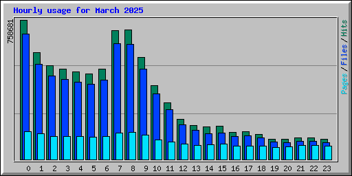 Hourly usage for March 2025