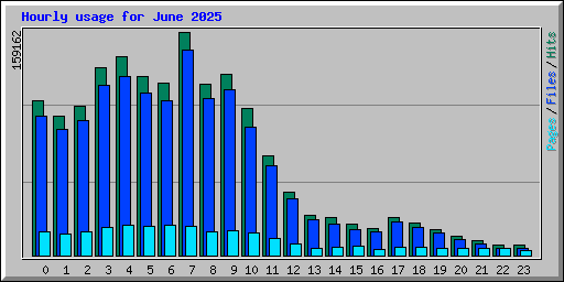 Hourly usage for June 2025