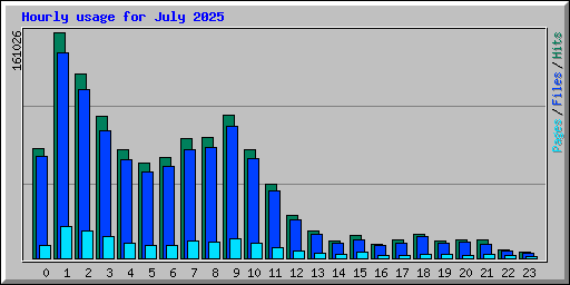 Hourly usage for July 2025