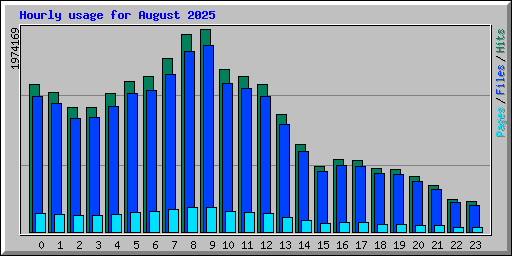 Hourly usage for August 2025