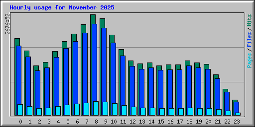 Hourly usage for November 2025