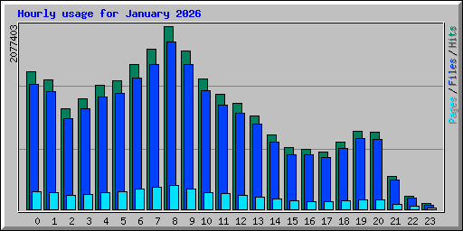 Hourly usage for January 2026
