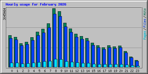 Hourly usage for February 2026