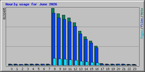Hourly usage for June 2026