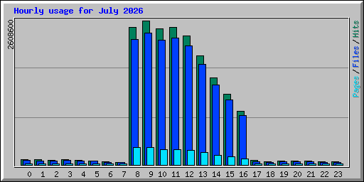 Hourly usage for July 2026