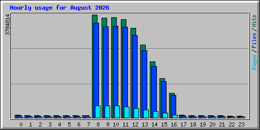Hourly usage for August 2026